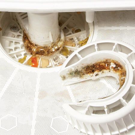 What makes dishwasher smell?