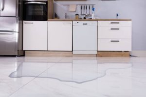 When dishwasher leaks?